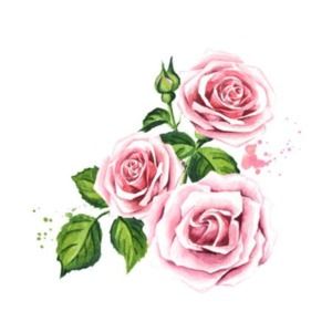 Meet your Posher, Cassandra